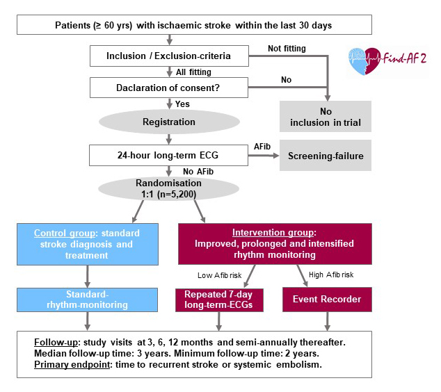 graph flow chart of Find-AF 2